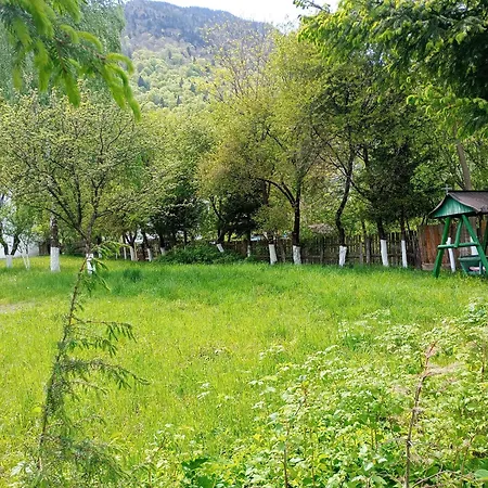 Pensiunea Irina 1 Si 2 Maison d'hôtes