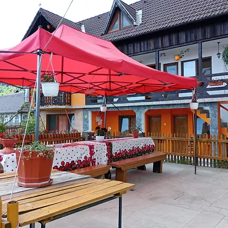 Maison d'hôtes Pensiunea Irina 1 Si 2 Zărneşti