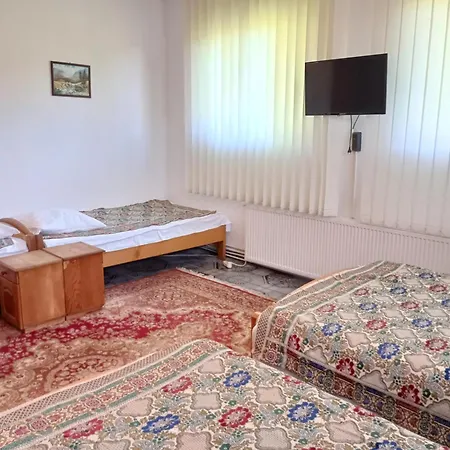 Pensiunea Irina 1 Si 2 Zărneşti