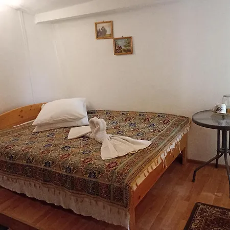 Pensiunea Irina 1 Si 2 Zărneşti