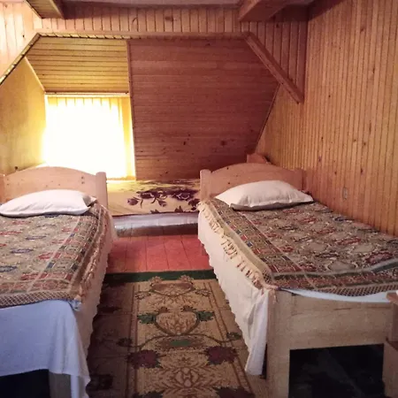Maison d'hôtes Pensiunea Irina 1 Si 2 2*