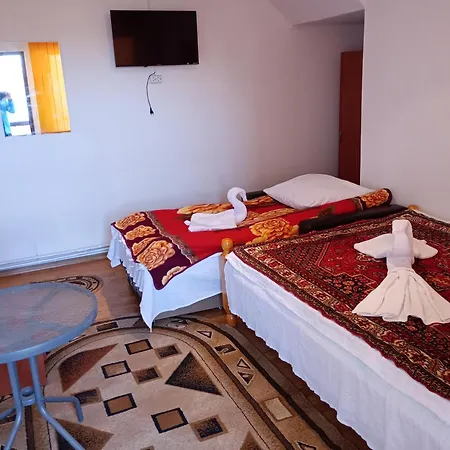 Maison d'hôtes Pensiunea Irina 1 Si 2 Zărneşti