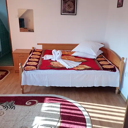Pensiunea Irina 1 Si 2 Maison d'hôtes
