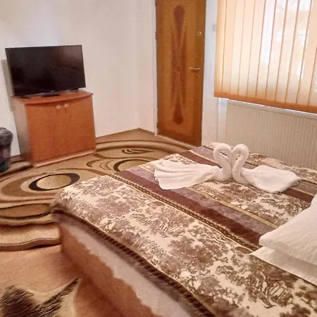 Maison d'hôtes Pensiunea Irina 1 Si 2 2*