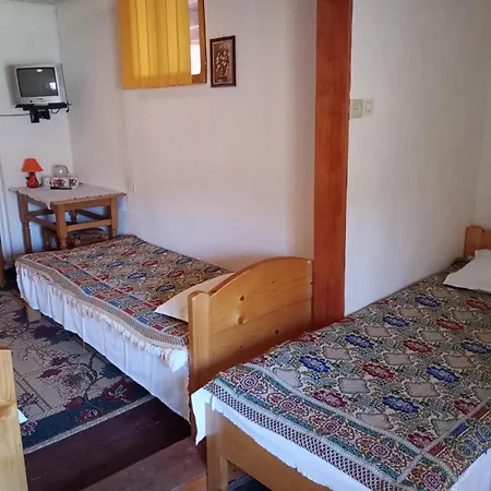 Maison d'hôtes Pensiunea Irina 1 Si 2