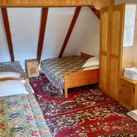 Pensiunea Irina 1 Si 2 Maison d'hôtes 2*
