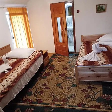 Pensiunea Irina 1 Si 2 Zărneşti
