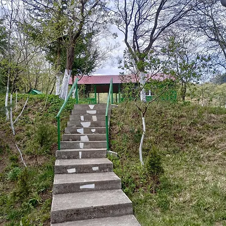 Pensiunea Irina 1 Si 2 Zărneşti