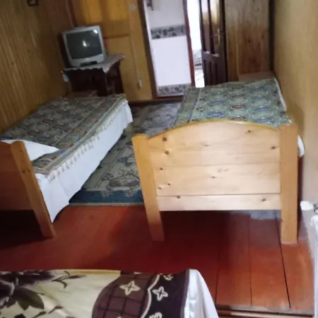 Maison d'hôtes Pensiunea Irina 1 Si 2