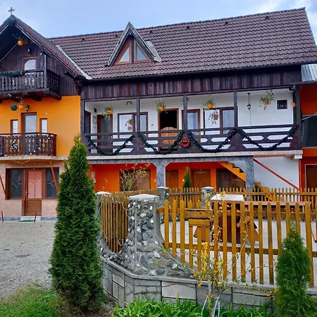 Pensiunea Irina 1 Si 2 2* Zărneşti