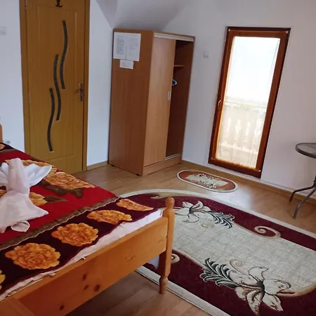 Maison d'hôtes Pensiunea Irina 1 Si 2 Zărneşti