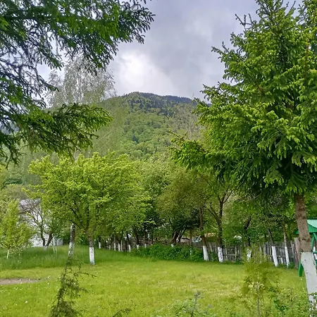 Pensiunea Irina 1 Si 2 Maison d'hôtes