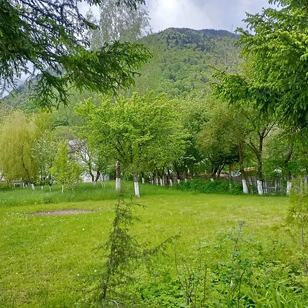 Maison d'hôtes Pensiunea Irina 1 Si 2 Zărneşti